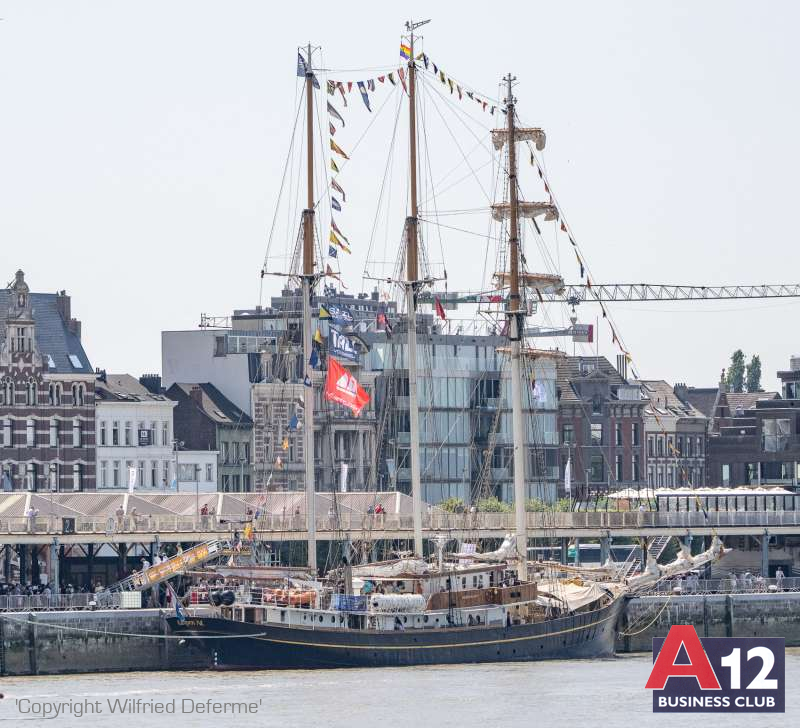 Fotoalbum - Bezoek met Flandria Oosterweelwerken en de grote zeilschepen van Tall Ships  - A12 Business Club - Evenement