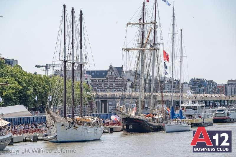 Fotoalbum - Bezoek met Flandria Oosterweelwerken en de grote zeilschepen van Tall Ships  - A12 Business Club - Evenement